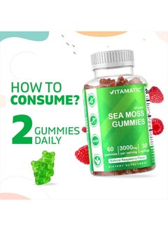Vitamatic Vitamatic Vegan Sea Moss Gummies Natural Raspberry Flavor 60 Gummies.  - Image 4