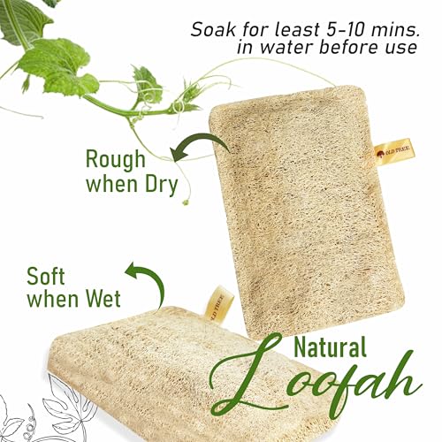 Old Tree Rectangular Body Scrubber (Pack of 4) for Men and Women - Natural Loofah Sponge for Bathing - Biodegradable and Eco-Friendly Natural Scrubber Gentle on the skin | Skin Friendly | Bathroom Accessories - Image 2