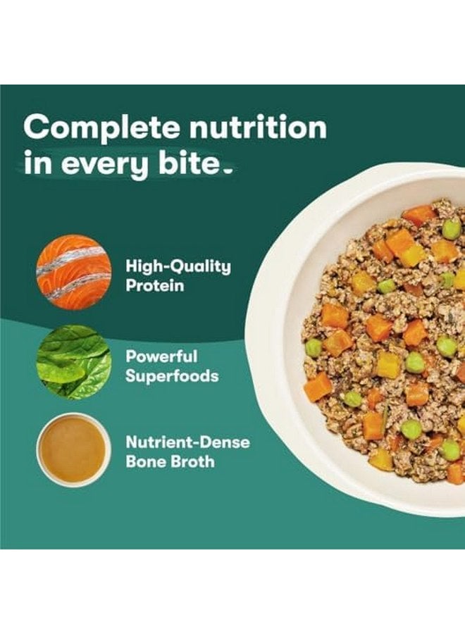 جينكس طعام الكلاب الرطب Jinx Salmon، امزجه مع طعام الكلاب الجاف، مصنوع من سمك السلمون الحقيقي والدجاج ومرق العظام، بدون حشو، لجميع مراحل الحياة، 9 أونصة، عبوة من 6 قطع - Image 2