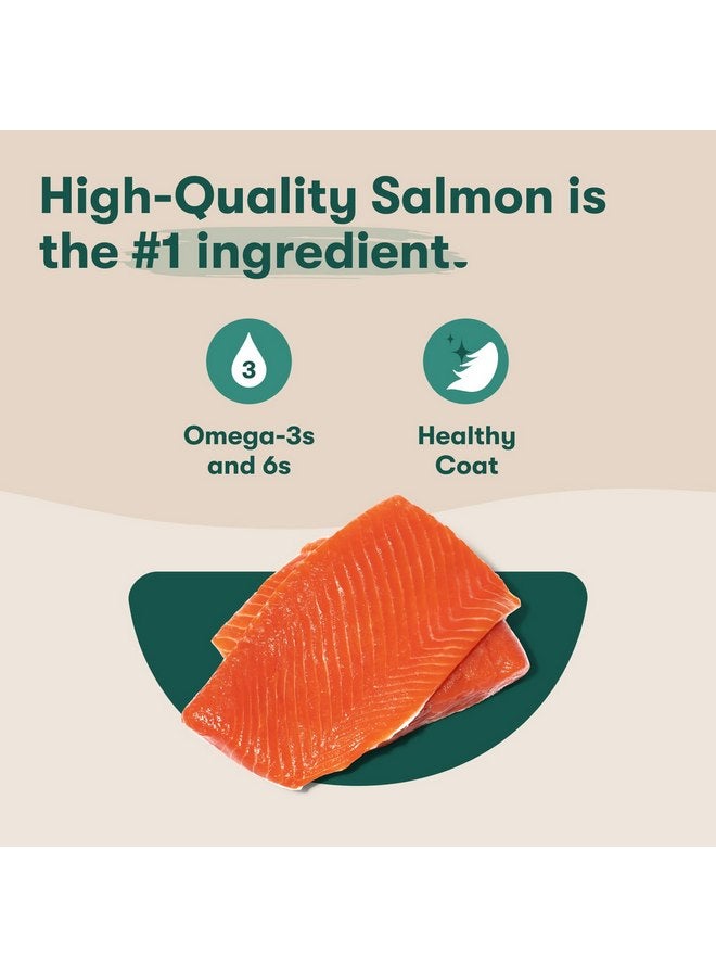 جينكس طعام الكلاب الرطب Jinx Salmon، امزجه مع طعام الكلاب الجاف، مصنوع من سمك السلمون الحقيقي والدجاج ومرق العظام، بدون حشو، لجميع مراحل الحياة، 9 أونصة، عبوة من 6 قطع - Image 5