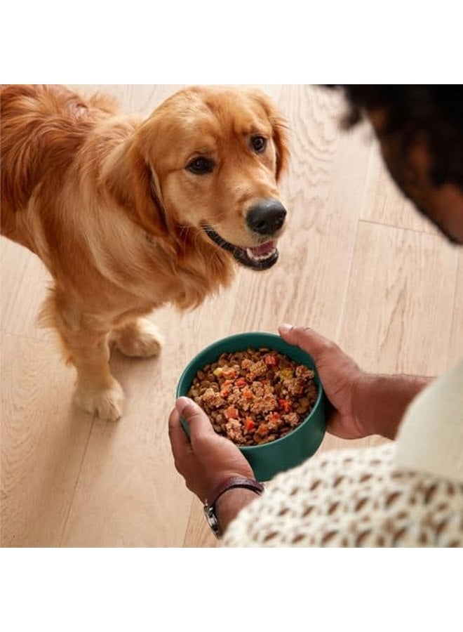 جينكس طعام الكلاب الرطب Jinx Salmon، امزجه مع طعام الكلاب الجاف، مصنوع من سمك السلمون الحقيقي والدجاج ومرق العظام، بدون حشو، لجميع مراحل الحياة، 9 أونصة، عبوة من 6 قطع - Image 3