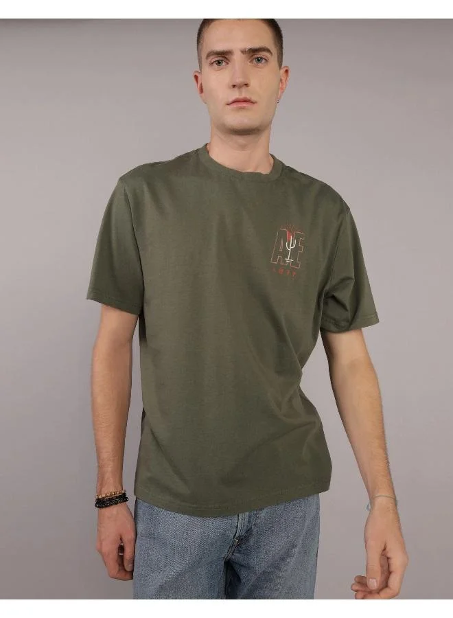 American Eagle Embroidered Crew Neck Graphic T-Shirt