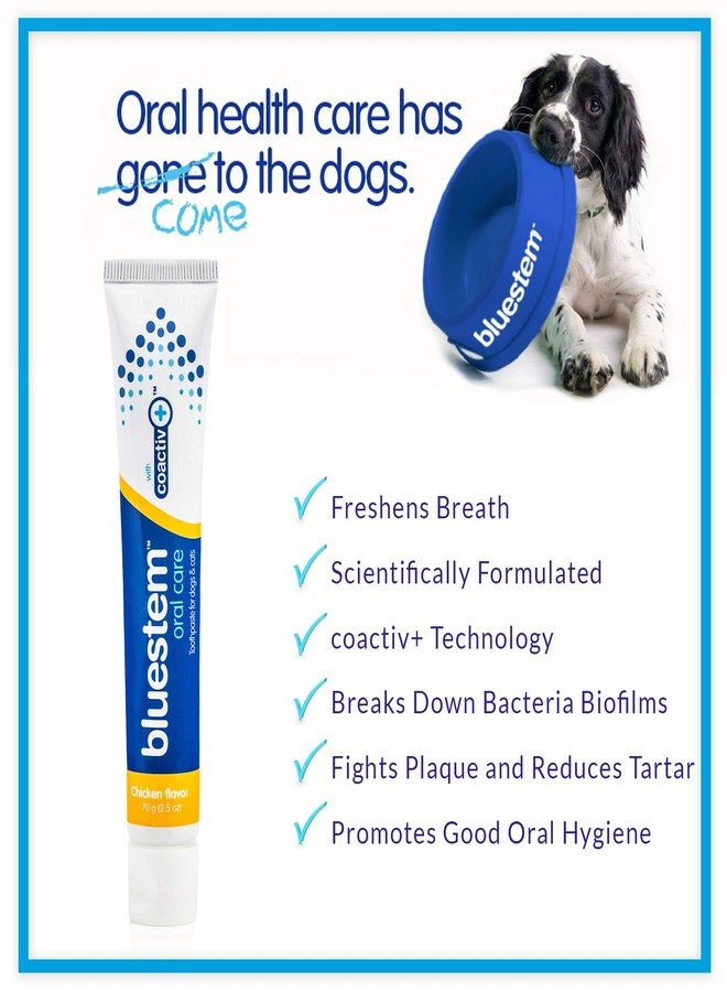 Bluestem Dog Toothpaste : Chicken Flavor Tooth Paste for Dogs & Cats. Teeth Brushing Cleaner Pet Breath Freshener Oral Care Dental Cleaning Kit. Tartar & Plaque Remover Brushes - Image 4