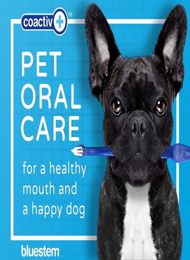 Bluestem Dog Toothpaste : Chicken Flavor Tooth Paste for Dogs & Cats. Teeth Brushing Cleaner Pet Breath Freshener Oral Care Dental Cleaning Kit. Tartar & Plaque Remover Brushes - Image 2