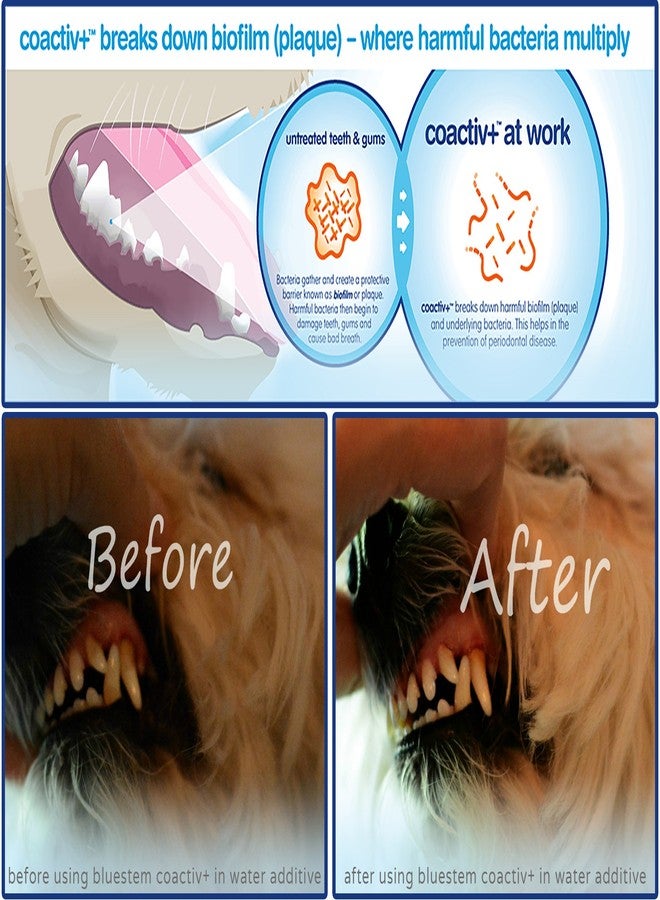 Bluestem Dog Toothpaste : Chicken Flavor Tooth Paste for Dogs & Cats. Teeth Brushing Cleaner Pet Breath Freshener Oral Care Dental Cleaning Kit. Tartar & Plaque Remover Brushes - Image 5