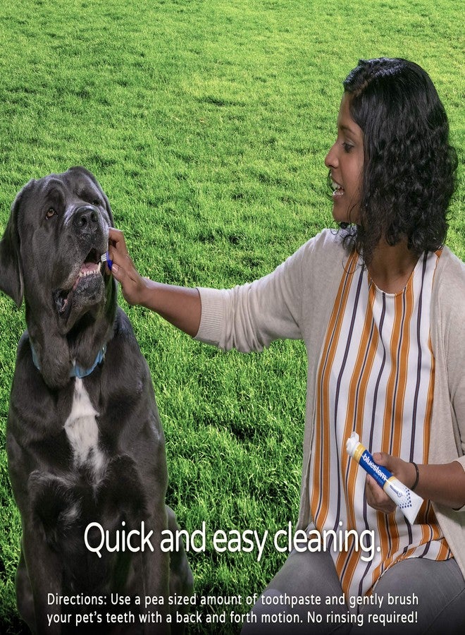 Bluestem Dog Toothpaste : Chicken Flavor Tooth Paste for Dogs & Cats. Teeth Brushing Cleaner Pet Breath Freshener Oral Care Dental Cleaning Kit. Tartar & Plaque Remover Brushes - Image 3