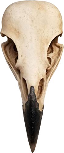 DWK The Enigmatic Corvus: Bird of Prophecy Gothic Raven Skull Wall Decor - Mysterious Hanging Statue for Intriguing Home Ambiance - Easy To Hang - 16 Inches High - Image 3