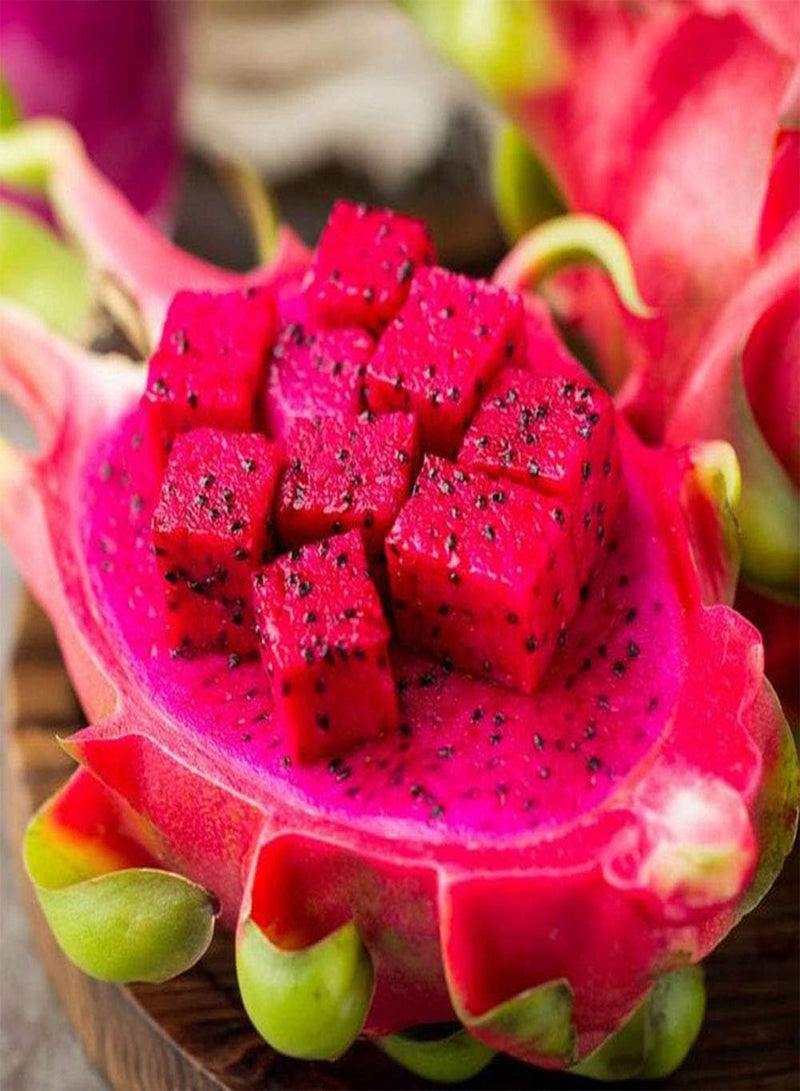 GGOOT 20Pcs Sweet Pitaya Seeds,Hylocereus Undatus Fruit Garden Yard Farm Plant for Planting Garden Yard Outdoor Yellow Pitaya Seeds - Image 2