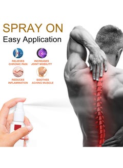 EELHOE Instant Pain Relief Herb Oil for Relieve Muscle and Joint Pain  - Image 3