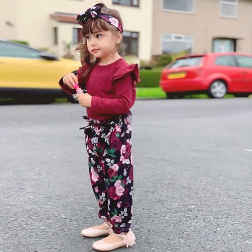 SANMIO Toddler Girl Clothes 3T Girl Toddler Clothes Cute Ruffle Top+ Floral Pants Set 2T-3T Little Girl Fall Outfits - Image 3