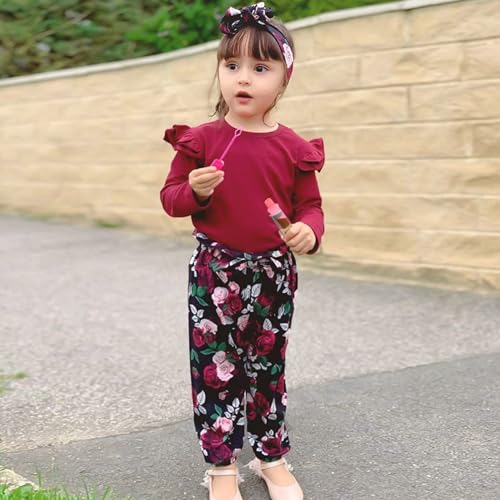 SANMIO Toddler Girl Clothes 3T Girl Toddler Clothes Cute Ruffle Top+ Floral Pants Set 2T-3T Little Girl Fall Outfits - Image 2