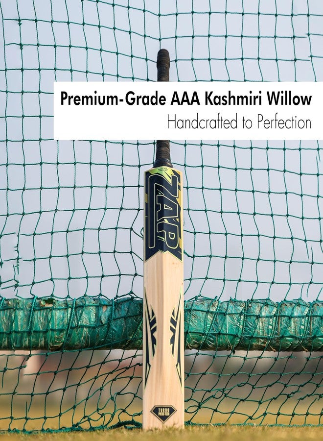 ZAP Alpha Kashmir Willow Cricket Leather Bat (Size 6) for Boys 12-14 Years | Grade 1 | Lightweight Professional Season Bat for Leather Ball | Singapore Cane Handle | Zero Shock Handle | Free Cover - Image 3