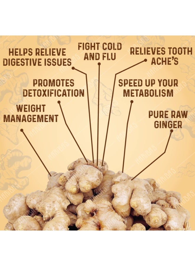 BAKE KING Dry Ginger Powder Sonth Dry Ginger Powder In Pantry Flavourfull For Cooking Natural Immunity Booster - 50 Grams - Image 3
