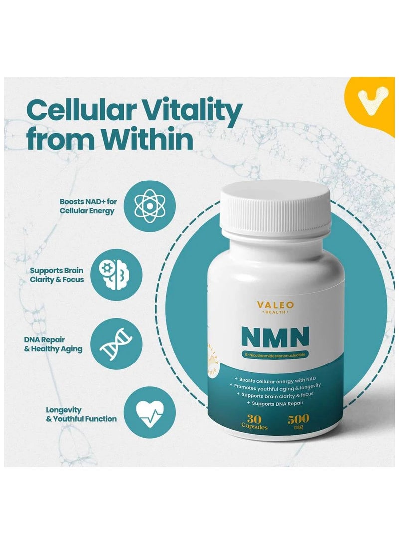 Valeo Longevity Wellness Bundle - Image 3