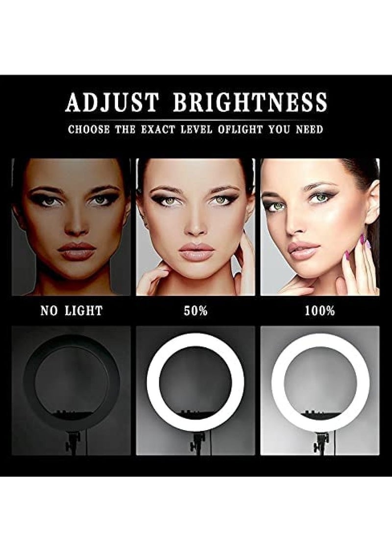 RL21 Inch Ring Light Tripod LED Soft Ring Light with Remote Control - Image 5