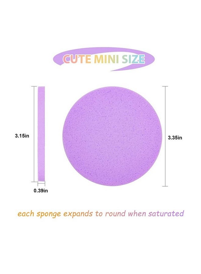 Belicia 12Pcs Facial Compressed Facial Sponges For Women, Pva Professional Makeup Sponge Female Removal Pads Compress Exfoliating Face Cleansing Rounds Wash Sponges (Pink/Yellow/Blue/Purple)  - Image 2