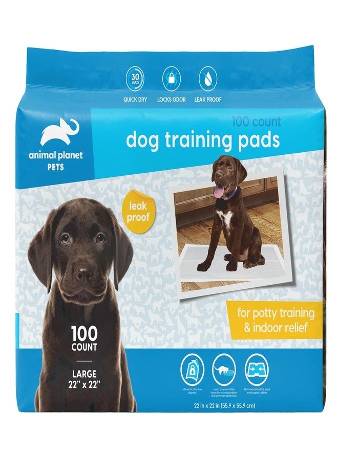 أنيمال بلانيت فوط تدريب الجراء من أنيمال بلانيت - مقاس كبير 22 × 22 بوصة - 100 فوطة | فوط تدريب للكلاب - فوط تدريب مانعة للتسرب وسريعة الامتصاص - مستلزمات أساسية للجراء - فوط تدريب للكلاب - Image 1