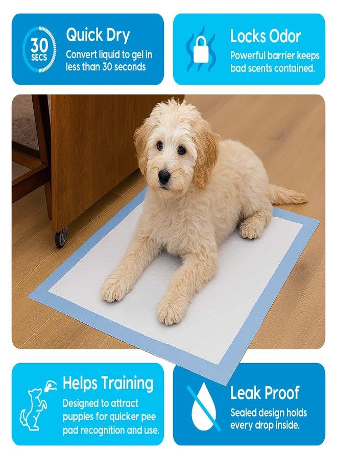 أنيمال بلانيت فوط تدريب الجراء من أنيمال بلانيت - مقاس كبير 22 × 22 بوصة - 100 فوطة | فوط تدريب للكلاب - فوط تدريب مانعة للتسرب وسريعة الامتصاص - مستلزمات أساسية للجراء - فوط تدريب للكلاب - Image 2