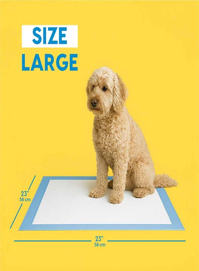 أنيمال بلانيت فوط تدريب الجراء من أنيمال بلانيت - مقاس كبير 22 × 22 بوصة - 100 فوطة | فوط تدريب للكلاب - فوط تدريب مانعة للتسرب وسريعة الامتصاص - مستلزمات أساسية للجراء - فوط تدريب للكلاب - Image 4
