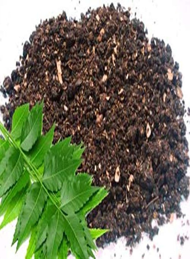 MASHKI Neem Cake Powder Plant Fertilizer Soil Manure 1Kg with 2kg Compost Soil Cake Manure for Plant, Pot, Farm & Gardens (3 Kg) - Image 5