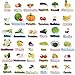 CHEFAN Fruits and Vegetables Felt Board Pieces Precut Flannel Board Pieces Felt Figures Sets Flannel Graph Educational Learning Toys for Kindergarten Preschool Toddlers 76 Pcs - Image 3