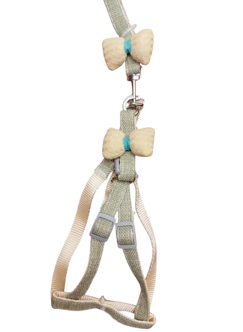 طوق ومقود للقطط سهل الاستخدام شكل جذاب للقطط والجراء البنات - Image 1