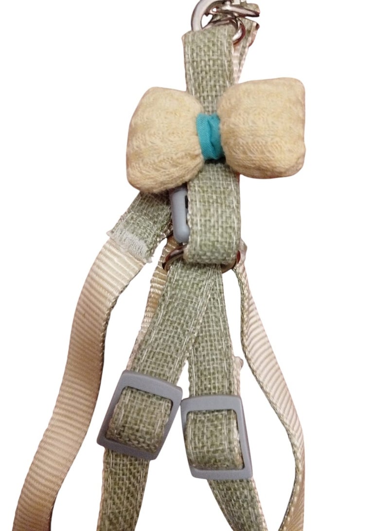 طوق ومقود للقطط سهل الاستخدام شكل جذاب للقطط والجراء البنات - Image 2