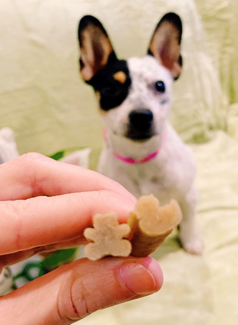 WHIMZEES أعواد أسنان طبيعية خالية من الحبوب، مزيج صغير، بني، 24+4 قطع، 420 جرام - Image 2