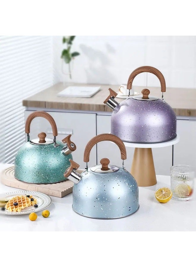 Stainless Steel Large Capacity Sound Kettle Wood Grain Kettle Outdoor Teapot Spray Color Gas Induction Cooker Applicable-Color:Star Point Color (wood Grain Handle)-Capacity:3L - Image 2