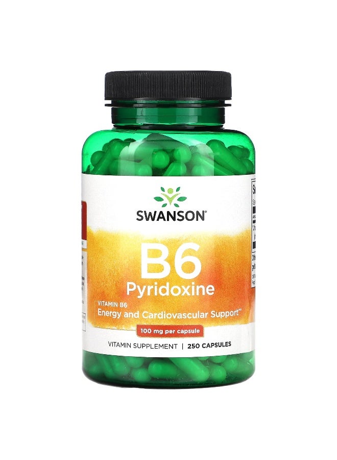SWANSON Swanson, B6 Pyridoxine, 100 mg, 250 Capsules  - Image 1