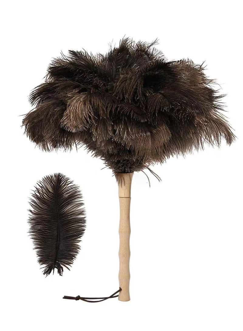 SYOSI Ostrich Feather Duster, 16 inch Fluffy Natural Genuine Ostrich Feathers with Wooden Handle and Eco-Friendly Reusable Handheld Ostrich Feather Duster for Cleaning Supplies - Image 1