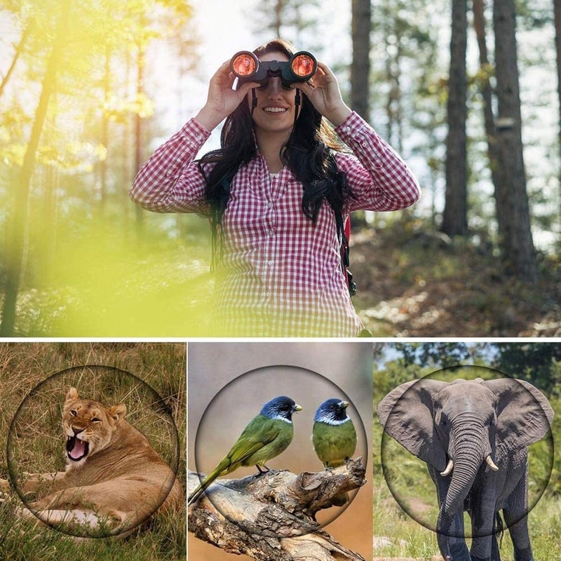 ETZIN تلسكوب 60X60 HD منظار وضوح 10000م قوة عالية للصيد الخارجي بصري LLL منظار زوم ثابت EPL-1433IM - Image 5