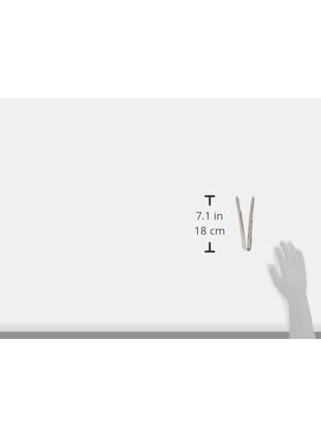 Sunnex Heavy Duty Stainless Steel Ice Tong/Server, 7Inch, Silver, 2109Ap - Image 1