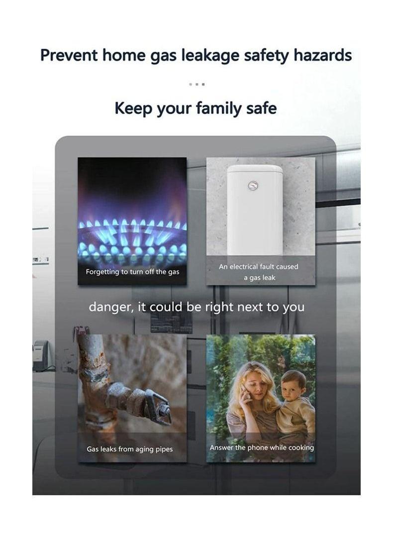 Arabest - Smart WiFi Natural Gas Leak Detector, APP Remote Monitor, Pulg in Wall, Combustible Flammable Inflammable Sniffer Sensor for LPG Methane Propane Butane Gases Fire Alarm for Home Kitchen - Image 1