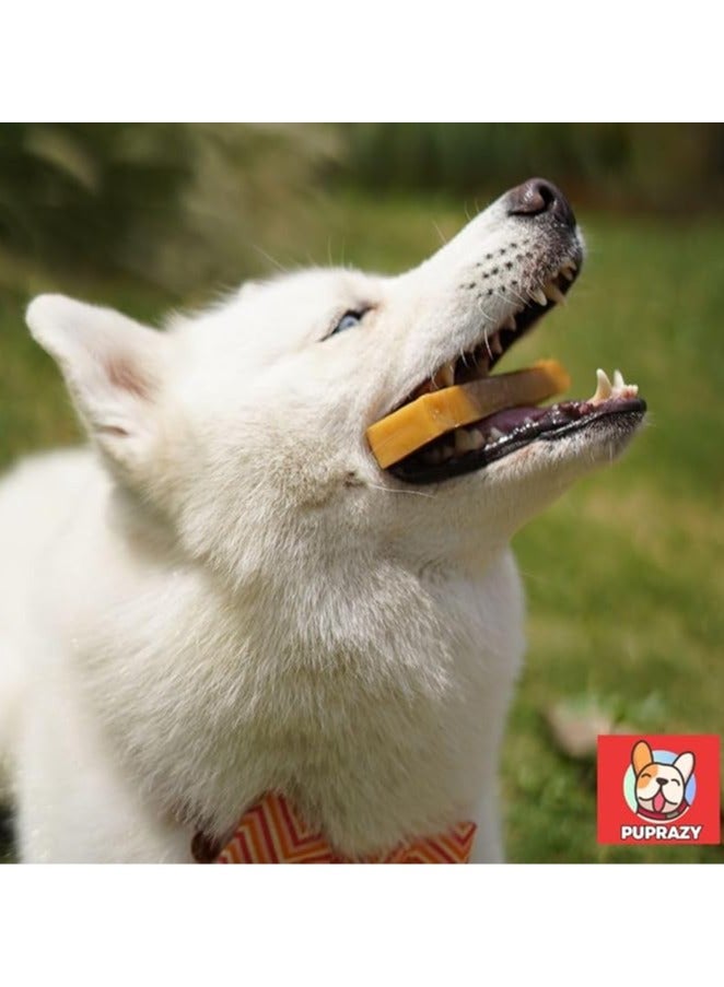PUPRAZY Assorted Puprazy Himalayan Cheese Dog Chew Bars| 6 flavors - Image 4