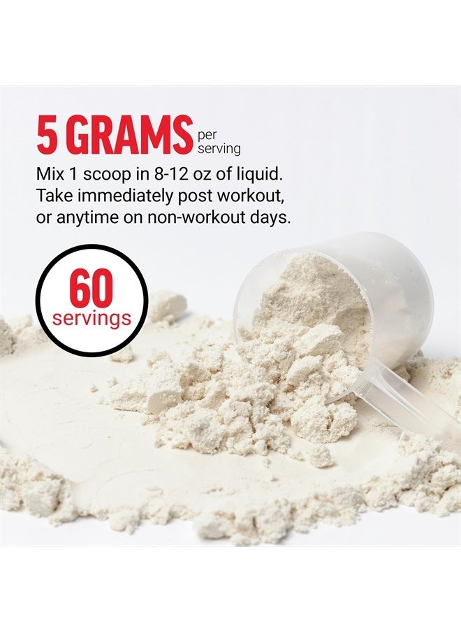 Force Factor FORCE FACTOR Creatine Monohydrate, Creatine Powder for Muscle Gain, More Strength, and Faster Workout Recovery, Clinically Studied Micronized Creatine 5g Dose Per Serving, Unflavored, 60 Servings  - Image 4