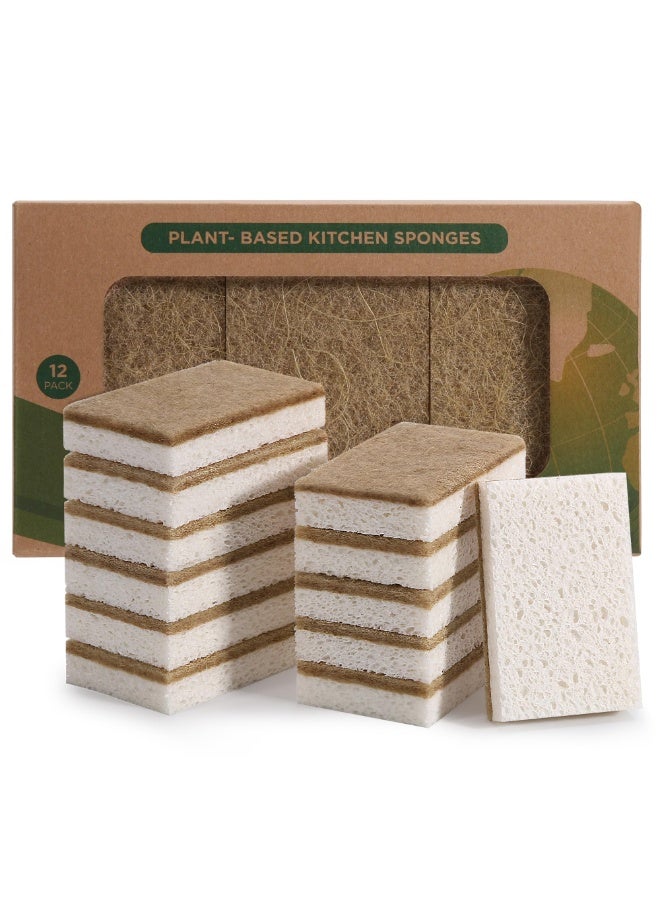 اسفنجات طبيعية للأطباق 12 حزمة - الحفاظ على الصابون قابلة للتحلل البيولوجي اسفنجة المطبخ قابلة للتسميد جوز الهند - اسفنجات تنظيف صديقة للبيئة - Image 1