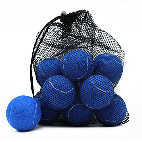 Magicorange Tennis Balls, 12 Pack Advanced Training Tennis Balls Practice Balls, Pet Dog Playing Balls, Come with Mesh Bag for Easy Transport, Good for Beginner Training Ball (Blue) - Image 1