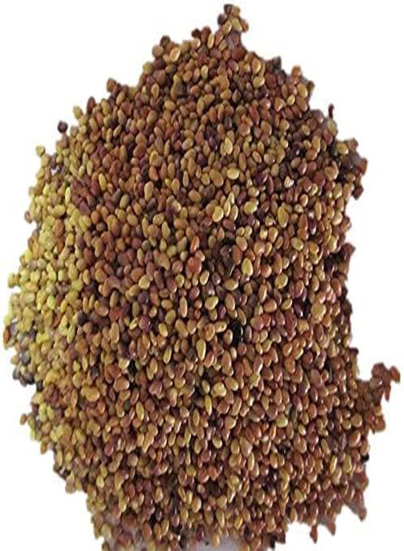 GGOOT Wild Clover RED & White Mix Flower Seeds Fast Growing Garden with no Grass in The Mix 1g  - Image 3