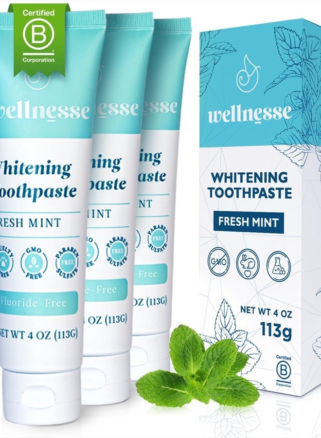 Wellnesse Whitening Toothpaste - Teeth Whitening Fluoride Free Natural Toothpaste - Fresh Mint - 3 Tubes, 4 oz - Made with Hydroxyapatite Powder, Green Tea Powder, and Aloe Vera - Image 1