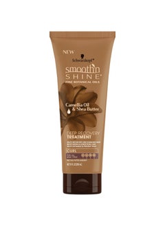 سموث آند شاين علاج تجعيد الشعر Smooth N Shine للتعافي العميق 10 أونصة (295 مل) 