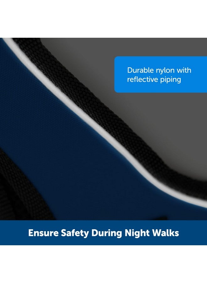 بيت سيف حزام PetSafe EasySport - أحزمة مبطنة - قابل للتعديل بالكامل - رقبة مرنة - مثالي للكلاب الرياضية - مقبض علوي للتحكم السريع - متوسط - أزرق مخضر - Image 3