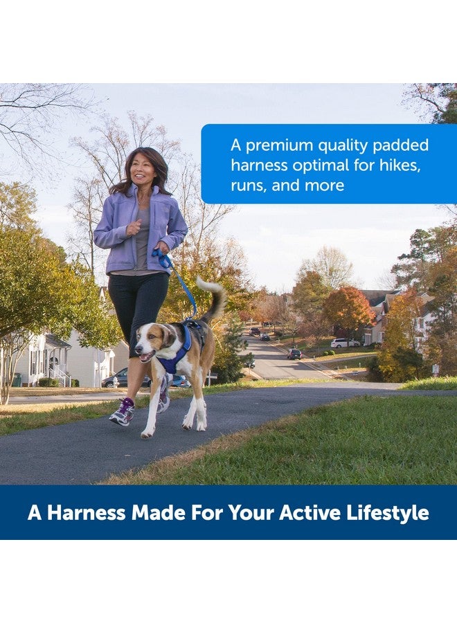 بيت سيف حزام PetSafe EasySport - أحزمة مبطنة - قابل للتعديل بالكامل - رقبة مرنة - مثالي للكلاب الرياضية - مقبض علوي للتحكم السريع - متوسط - أزرق مخضر - Image 5