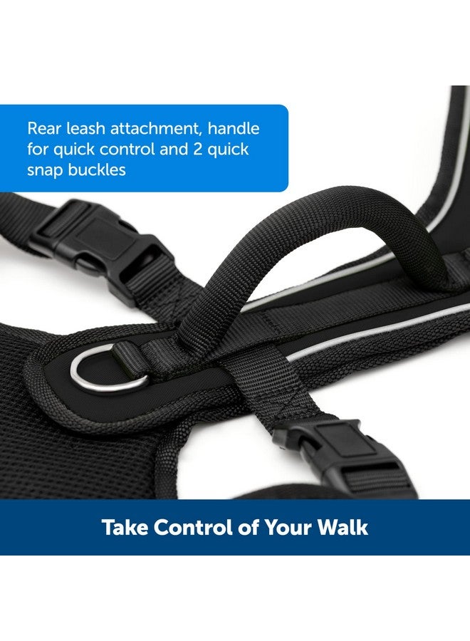 بيت سيف حزام PetSafe EasySport - أحزمة مبطنة - قابل للتعديل بالكامل - رقبة مرنة - مثالي للكلاب الرياضية - مقبض علوي للتحكم السريع - متوسط - أزرق مخضر - Image 4