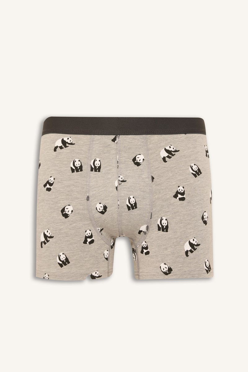 ديفاكتو بوكسر قصة عادية - 3 قطع - Image 5