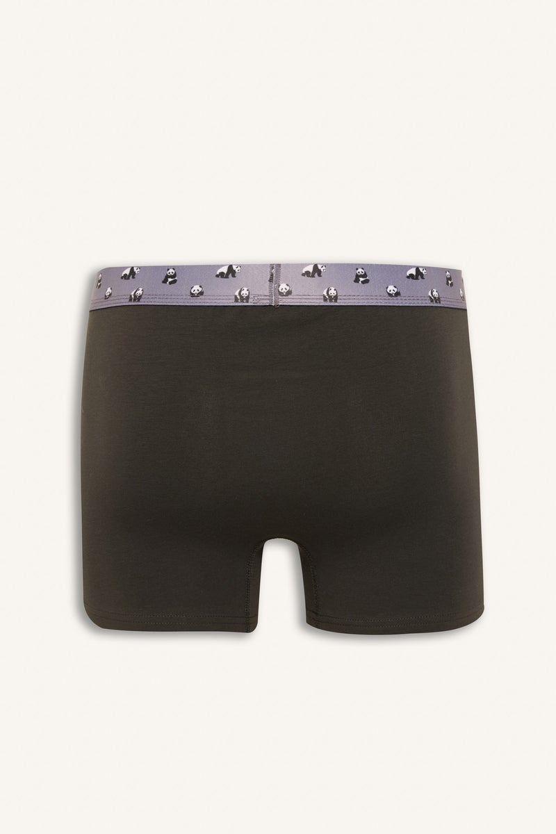 ديفاكتو بوكسر قصة عادية - 3 قطع - Image 3