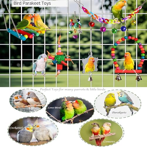 ESRISE 8 Pcs Parakeet Cockatiel Bird Toys, Parrots Cage Accessories Swing Wooden Perch Chewing Toy for Budgerigar, Conures, Love Birds, Finches, Budgies - Image 3