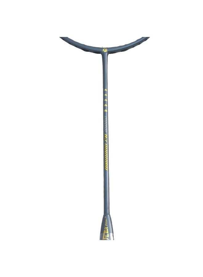 FLEX PRO FB 10000 | Diamond Series | AB Pipe Design | Silver | 1 RACQUET and 1 BAG - Image 3
