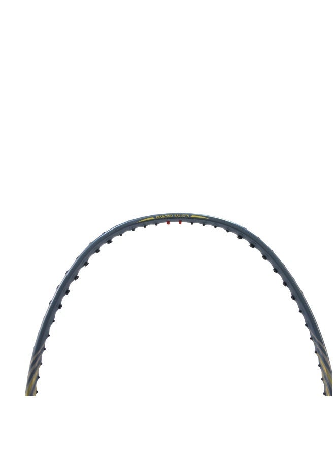 FLEX PRO FB 10000 | Diamond Series | AB Pipe Design | Silver | 1 RACQUET and 1 BAG - Image 5