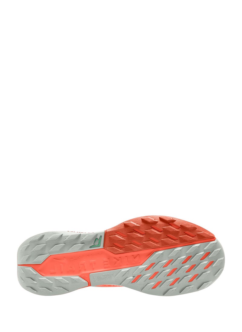 Nike - Reactx Pegasus Trail 5 Gtx - Image 1